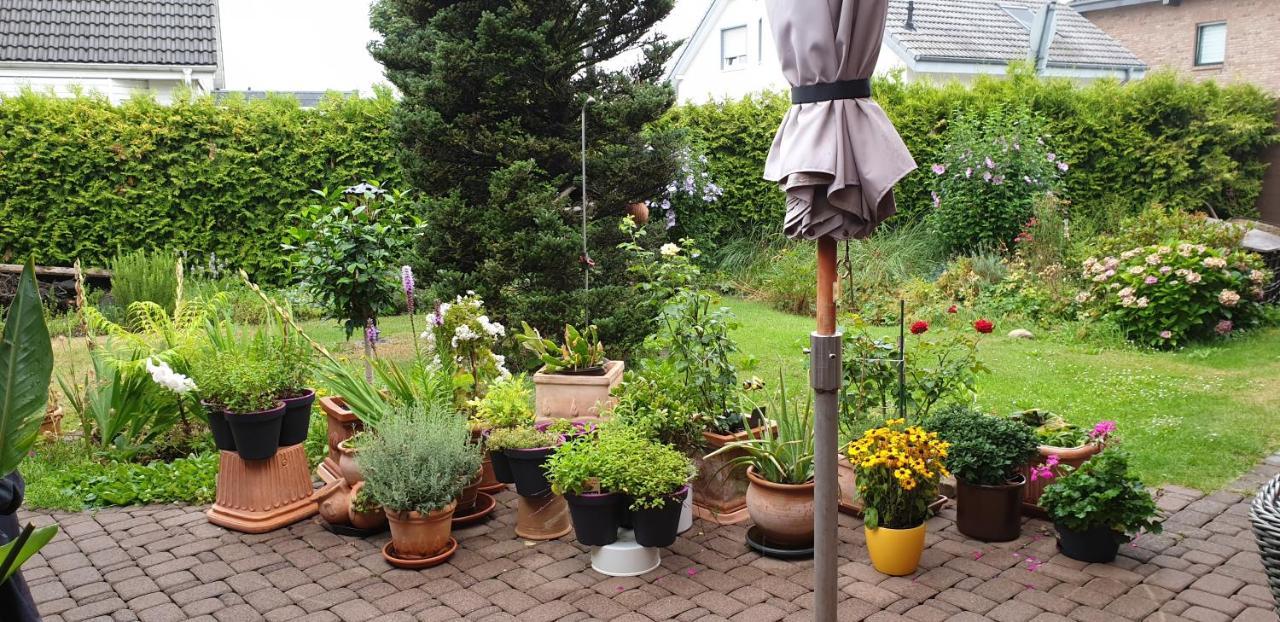 Gaestezimmer Junglas Bornheim (Rheinland) Exterior foto
